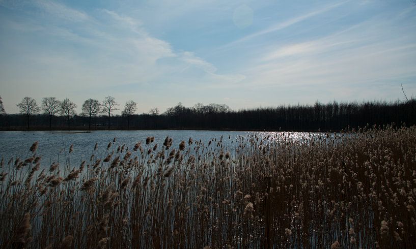 Eenvoud bij de Kikkerpoel by Rick Biermans