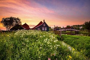 Käsefabrik Zaanse Schans