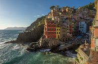 Zicht op Riomaggiore / Cinque Terre van Edwin Mooijaart thumbnail