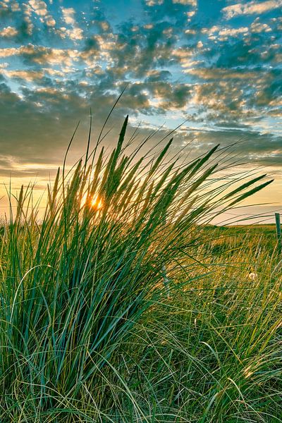 Küste mit Düne bei Sonnenuntergang von eric van der eijk