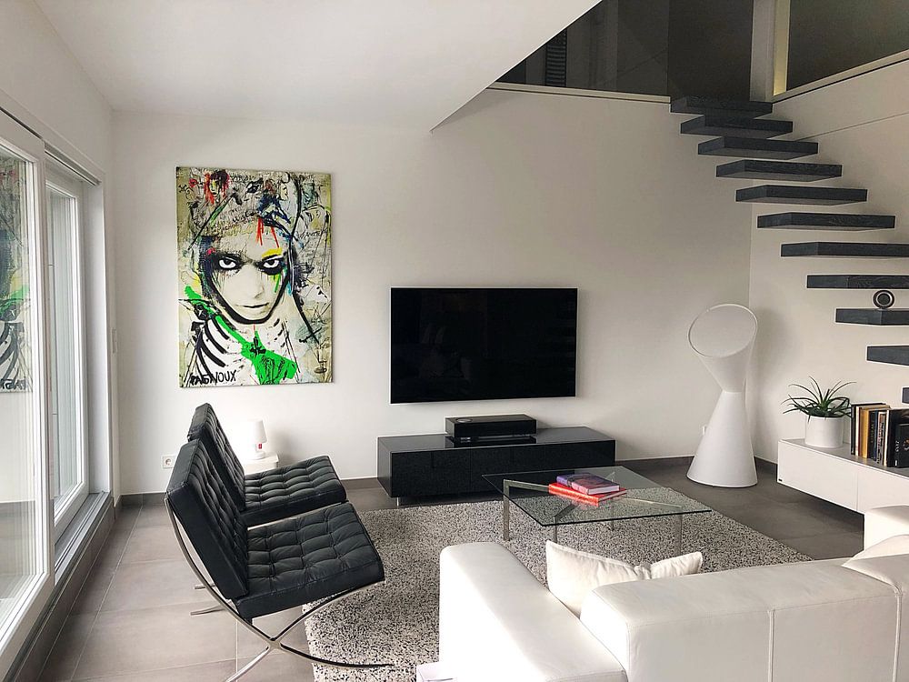 northern star  von sandrine PAGNOUX 