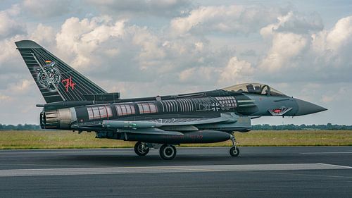 Luftwaffe Eurofighter Typhoon in tijger livery.