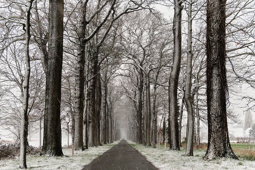 Wintertage von Rudi Everaert
