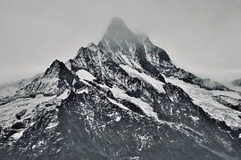 Schreckhorn, Oberland bernois, Suisse