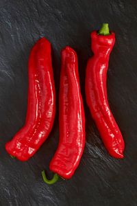 Paprika