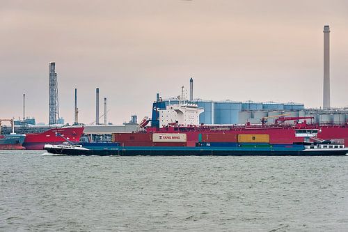 Ein Containerschiff fährt durch den Hafen von Rotterdam von Anouschka Hendriks