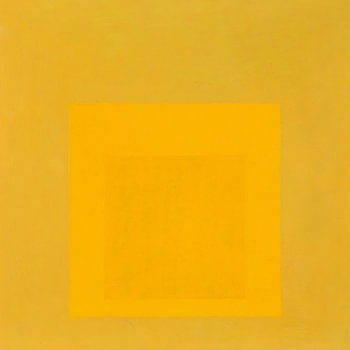 Josef Albers - Hommage an das Quadrat, gelb, hohe Auflösung