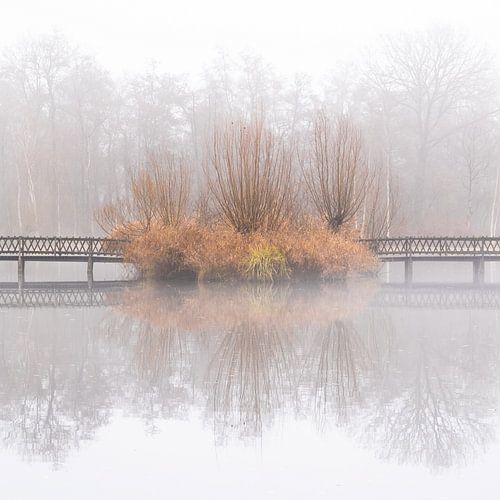 Symmetrie in de mist