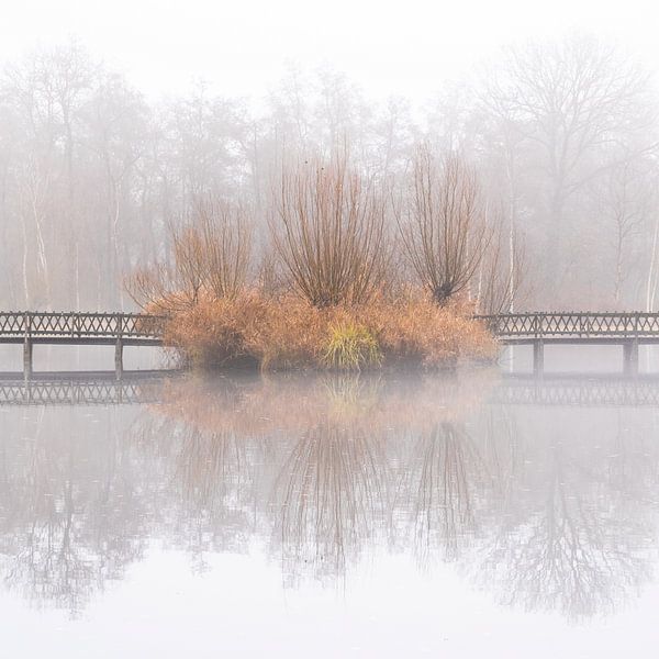Symétrie dans le brouillard par Richard Stoop
