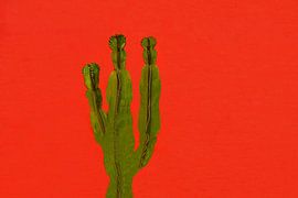 CACTUS 1 sur Miroslav Ptacek