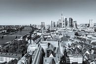 Skyline von Frankfurt am Main - Monochrom von Werner Dieterich Miniaturansicht