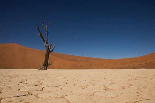 Deadvlei, Namibia
