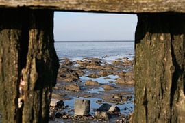 doorkijkje Waddenzee