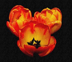 Tulpen mit einer Struktur.