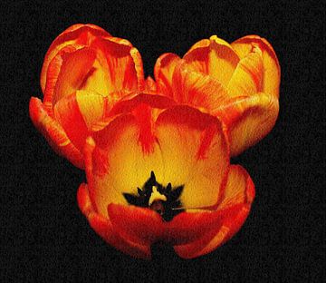 Tulpen met een structuur. van Jose Lok