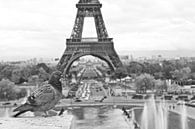 De Eiffeltoren van Jasper van de Gein Photography thumbnail