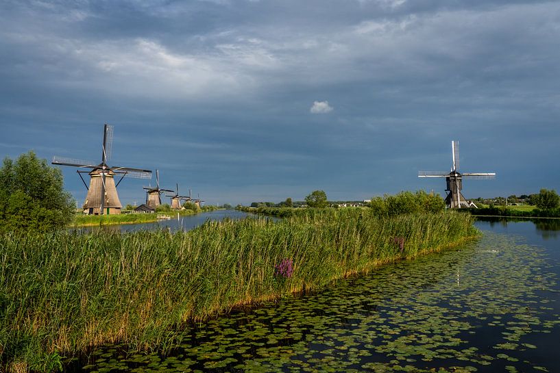 Windmills of Kinderdijk by Kim Claessen