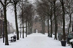 Harderwijk Fischmarkt im Schnee