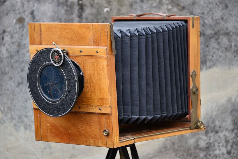 Wooden camera by Ingo Laue