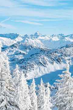 Winteruitzicht op de Hochvogel en de Allgäuer Alpen van Leo Schindzielorz