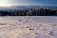 Guidance lines in the snow