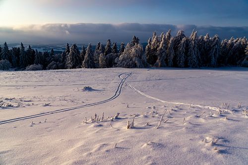 Des lignes d'orientation dans la neige