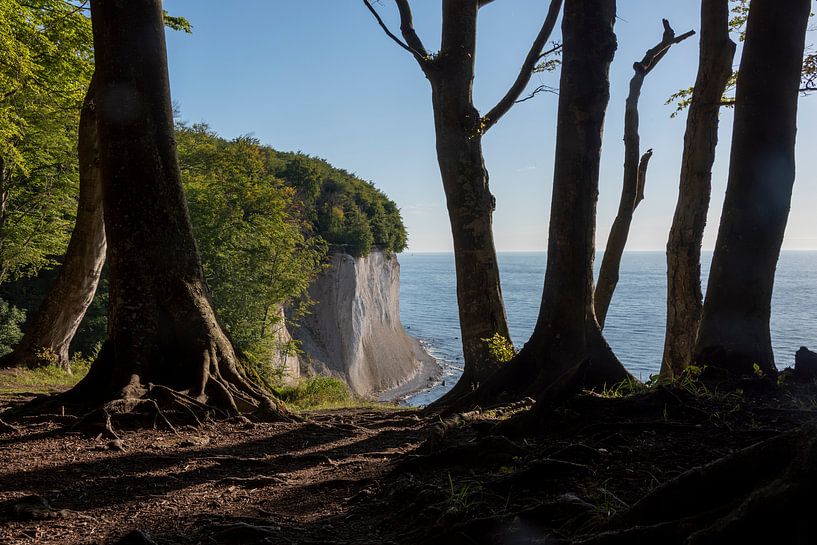 chalk cliffs by Stephan Schulz