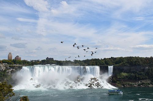 Branta's overvliegen de watervallen