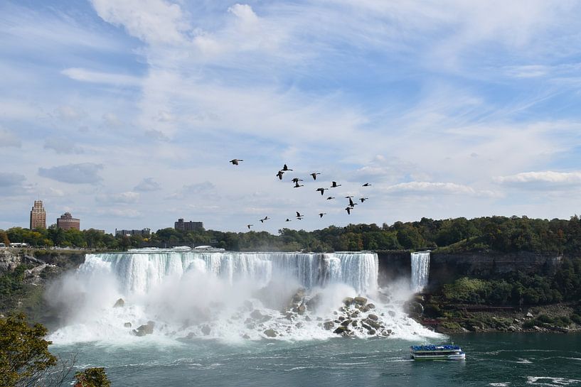 Branta&#039;s fly over the falls by Claude Laprise