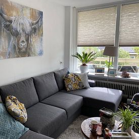 Customer photo: Highland Cow I by Atelier Paint-Ing, on canvas