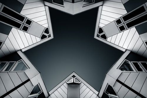 Rotterdam Cubes
