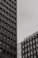 Urban lines