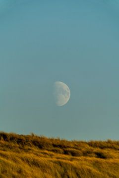 Mond über den Dünen von Peter Hendriks