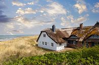 Maison de roseaux dans les dunes par Tilo Grellmann Aperçu
