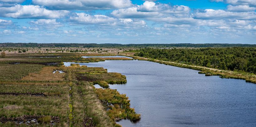 View over water and greenery by Werner Lerooy