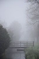 Fog - Winter enchantment