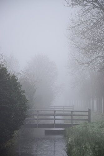 Mist - Winterse betovering