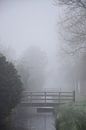 Fog - Winter enchantment by Ingrid de Vos - Boom thumbnail