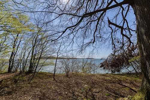 Rad- Wanderweg  entlang am Naturstrand in der Goor