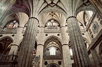 Interieur Kathedraal Salamnca