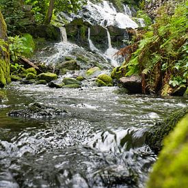 Small waterfall in the forest with moss on stones by Martin Köbsch