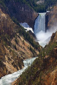 Lower Falls in Yellowstone NP, Wyoming, USA van Henk Meijer Photography
