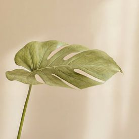 Soft Horizon : art minimaliste dans le style Japandi sur Dutch Art Works