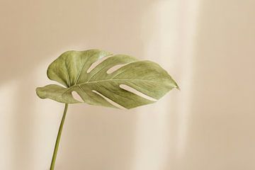 Soft Horizon minimal art in Japandi style by Dutch Art Works