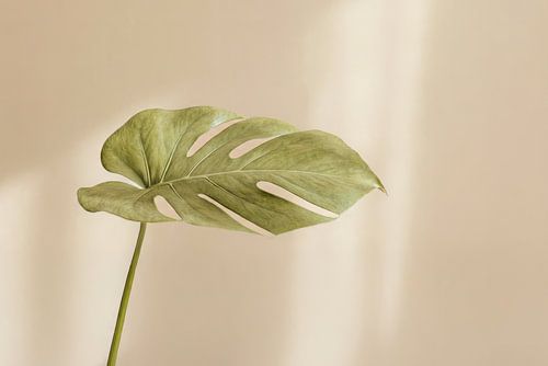 Soft Horizon minimal art in Japandi style by Dutch Art Works