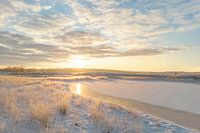 Lever de soleil doré à Kampina