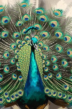 Bunter Pfau mit ausgebreiteten Federn von Imperial Art House