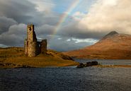 Schloss Ardvreck am Loch Assynt in Schottland mit einem schönen Regenbogen von Jos Pannekoek Miniaturansicht
