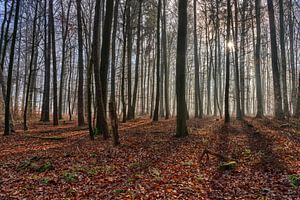 Der Nebel lichtet sich