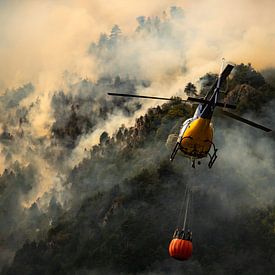 Incendie de forêt, Italie - 04 sur Jorn Wilms